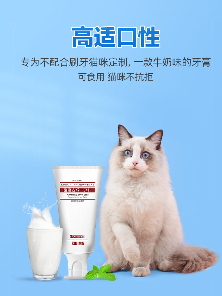 kojima猫牙刷猫咪牙膏套装除口臭可食用狗狗刷牙宠物牙齿清洁用品 - 图3