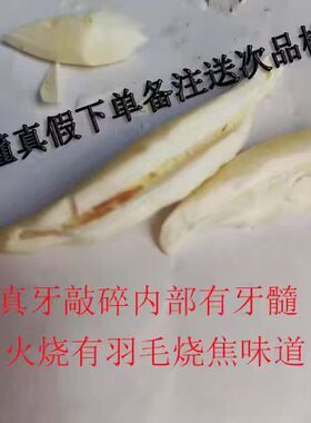 正宗真黑狗牙齿吊坠平安男款女款项链狗牙儿童随身挂件