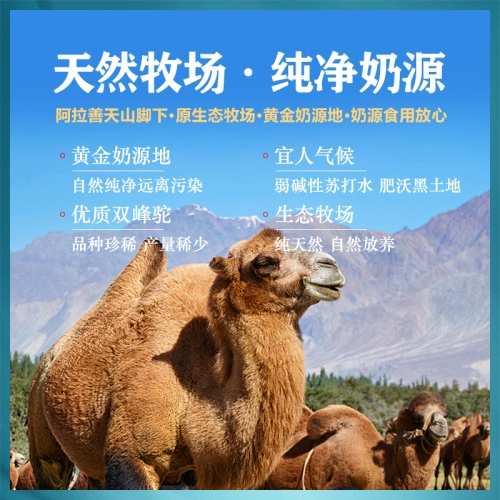 黄金搭档 Сухое верблюжье молоко Внутренняя Монголия Двугорбое верблюжье молоко Лашаньси Верблюжье молоко с высоким содержанием кальция научная золотая формула Сухое верблюжье молоко