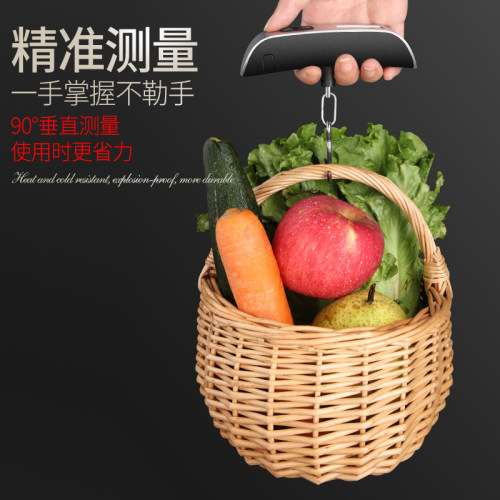 德国便携手提秤电子勾称迷你电子秤50kg高精度行李称家用钓鱼小秤 - 图0