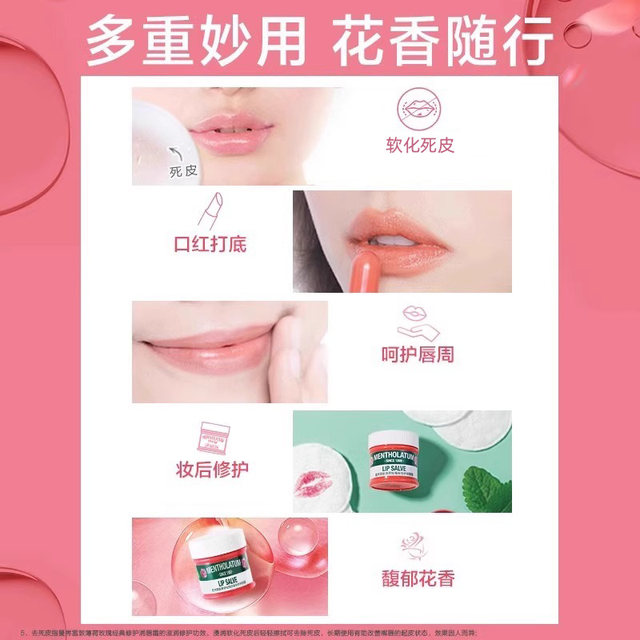 Mentholatum Mint Rose Classic Lip Balm 9g