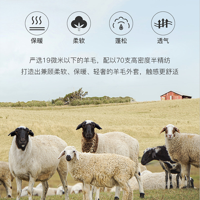 品牌2024年新款显瘦双排扣长款羊毛双面毛呢大衣_淘宝内购会_女装/女士精品-第5张图片-提都小院