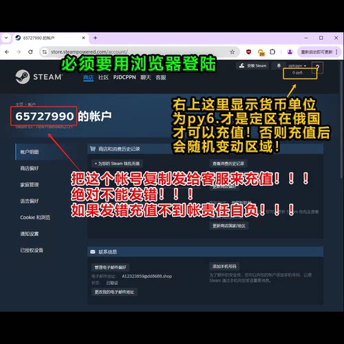 【极速充值】俄罗斯steam卢布充值 俄区Wallet钱包 账号直冲 无需密码安全可靠 非市场余额交易绝无红信风险 - 图0