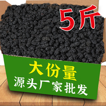 Mulberry dry 5 catty 10 catty of wholesale bubble wine tea without sand Traditional Chinese medicine Water cooking black mulberry Very son mulberry Dry new stock Big fruit