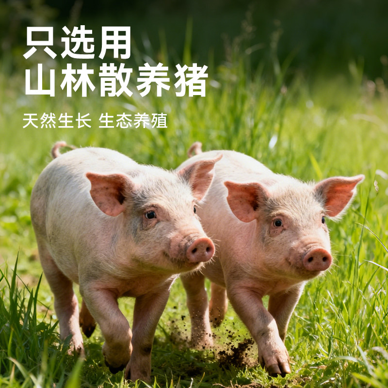 焙小姐天然猪肠衣家用儿童食品级腊肠自制灌肠皮烤调料神器商用小,淘宝优惠券,粉丝福利购,淘宝优惠卷