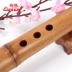 [曲] Đầu lớn Nanxun cấp độ người chơi sưu tầm 箫 毛 根 根 桂 - Nhạc cụ dân tộc Nhạc cụ dân tộc