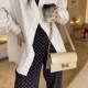 Laura Shidai 2026 niche high-end armpit bag