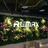 Имитационная стена Стена Зеленая растительная стена с фоновой стенкой Украшение