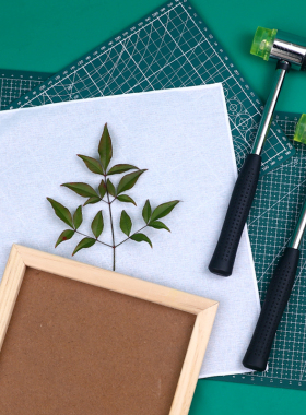 蜡染植物拓染草木布染