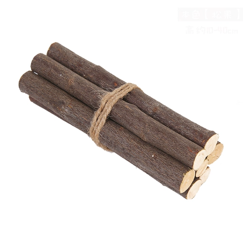 Высушенные ветви украшают сухие ветви в детские сады детский