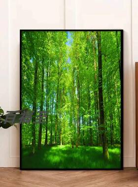 阳光大森林树林绿草地大自然风景画挂画墙画绿色装饰画壁画树木画