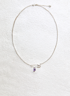 Apt 2025AW 雕刻纹别针项链