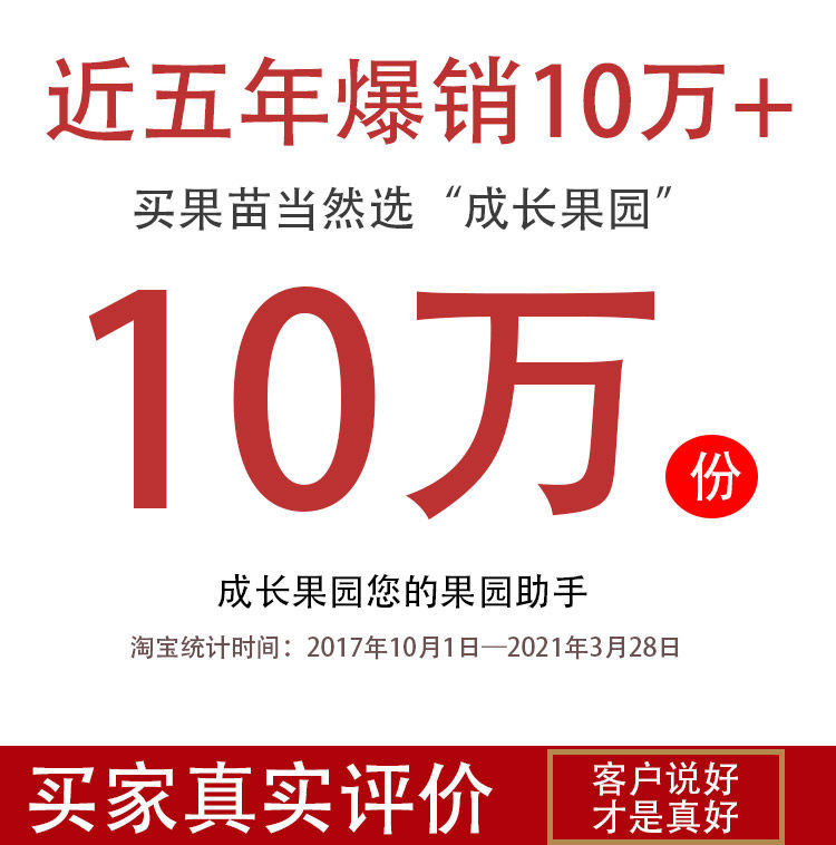 四川脱骨五月脆凤凰半边红早晚熟李子树苗南方种植水果树果苗大全,淘宝优惠券,粉丝福利购,淘宝优惠卷