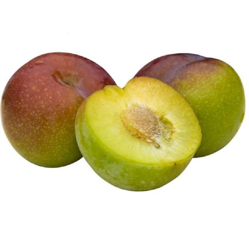 四川脱骨五月脆凤凰半边红早晚熟李子树苗南方种植水果树果苗大全,淘宝优惠券,粉丝福利购,淘宝优惠卷