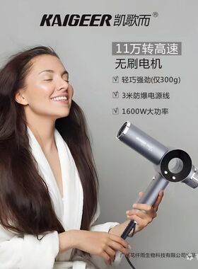 凯歌而陶丝吹风机高速无刷电吹风恒温速干轻巧强劲2000W发廊家用