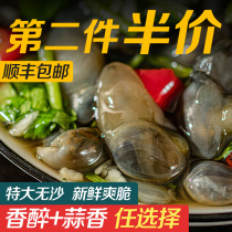 Encounter with Fresh Boat Mountain Wine Drunk garlic Fragrant Clay Snail Ready-to-eat Canned Fresh Ningbo Yellow Clay Snail Mega Tide Shansheng Marinated Seafood