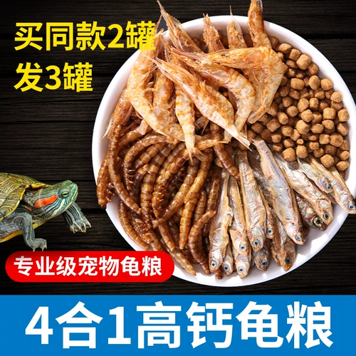 Главная черепаха с черепахой