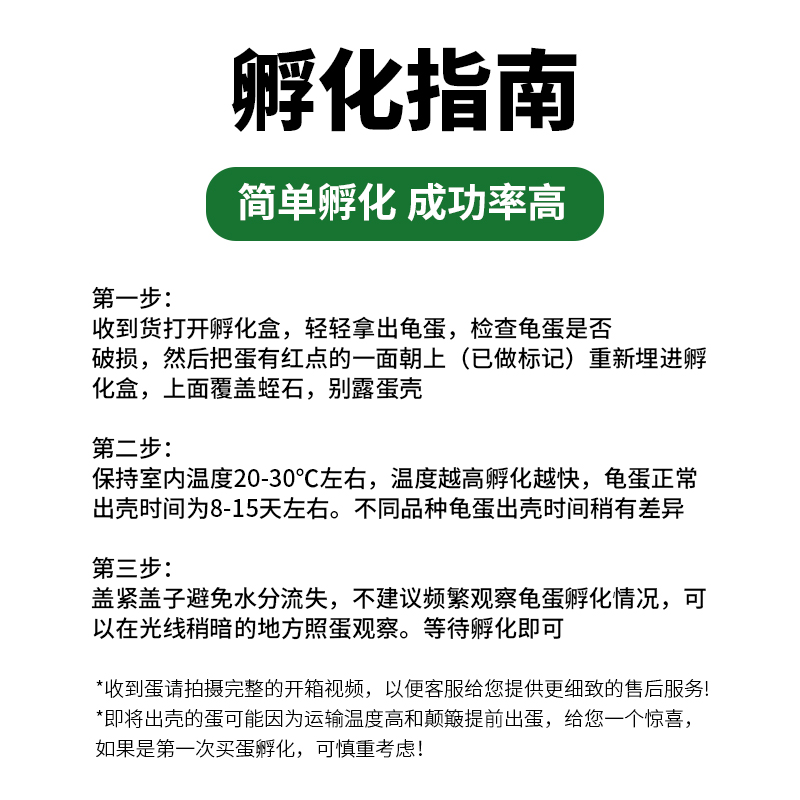 可孵化乌龟蛋鳄龟地图草龟活物巴西龟受精蛋活体墨龟火焰黄耳西锦 - 图2