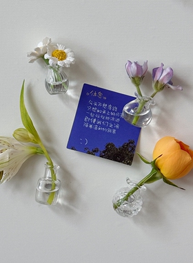 迷你透明玻璃小花瓶插花冰箱贴