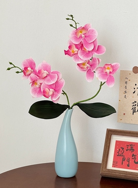 禅意陶瓷花瓶蝴蝶兰插花瓶摆件