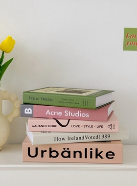 卡纸简约客厅装饰品假书