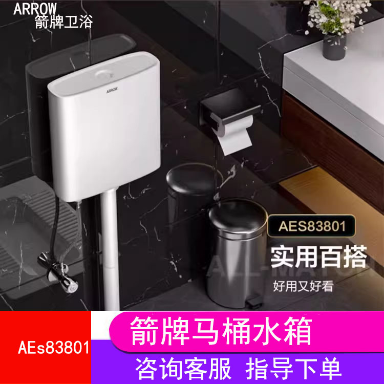 箭牌家用蹲便器水箱环保节能塑料冲水器大冲力AS108A/AS117/AE102-图2