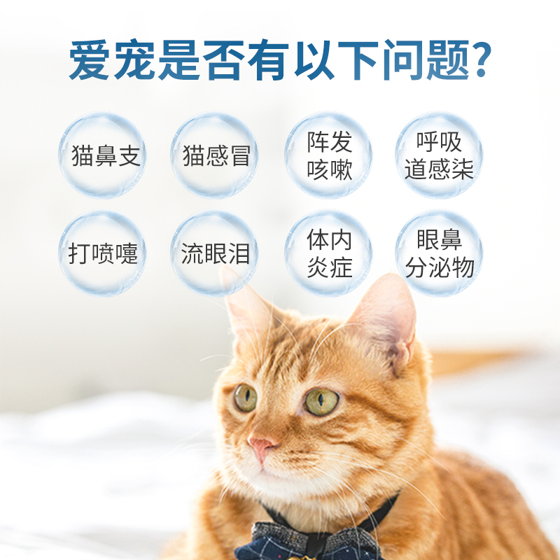 猫鼻支治疗药猫咪感冒药打喷嚏兽用宠物狗狗感冒药盐酸多西环素片 - 图1