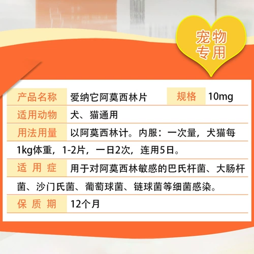 爱纳它 Хилин Амоксицианский широкий спектр анти -инфляторный кот носовой ветвь Инфекция мочевыводящих путей, холод, кашель, кашель, пневмония