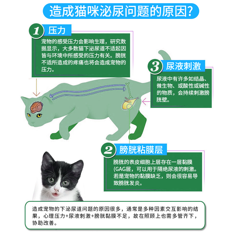 猫咪泌尿系统药狗狗尿闭尿血尿路感染尿结石猫尿频利尿通恩诺沙星-图1