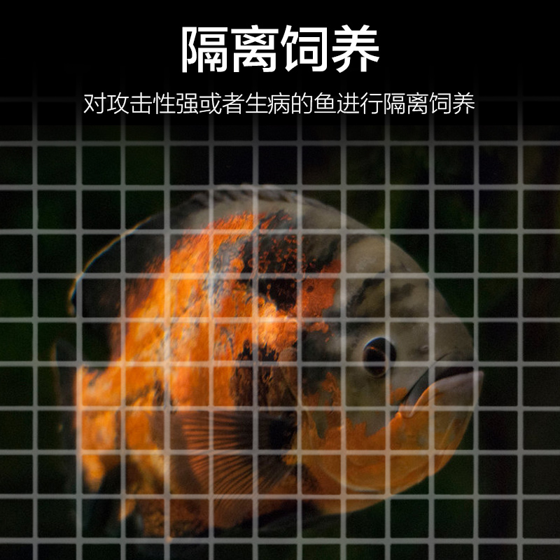 鱼缸底滤板挡板隔离网透明分隔水族箱网格板晒台隔板可拼接 - 图1