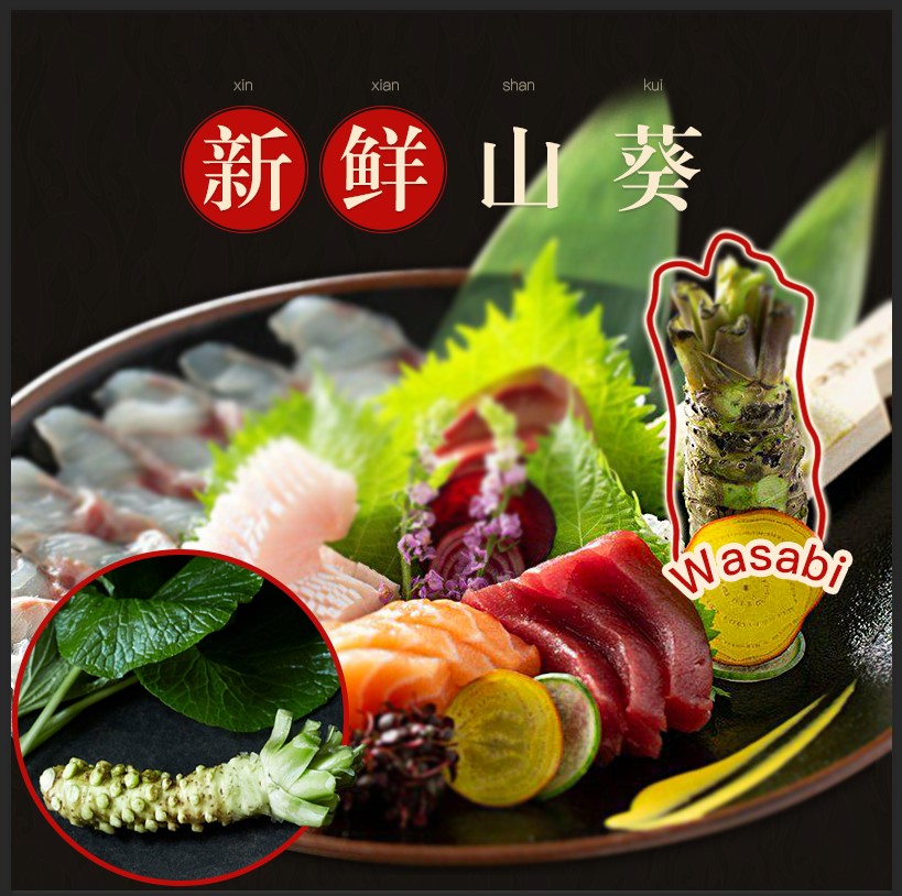 新鲜山葵根Wasabi 芥末根 寿司芥末 中号山葵16-18根/500g 预shou - 图2