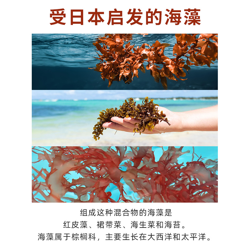 Terre Exotique海藻盐之花-图1