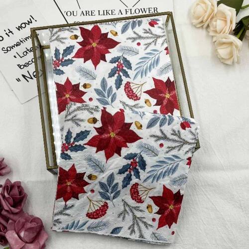 10/20pcs/Pac Colourful Printed Napk 2 Ply Featured Christmas - 图2