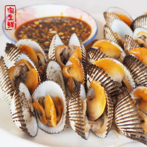 2斤毛蛤鲜活海贝类血蛤海鲜蛤蜊生鲜水产血蚶毛蚶活发顺丰已吐泥 - 图2