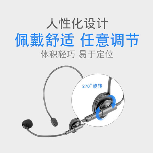 Victory Bee Amplifier Teacher Class Microphone