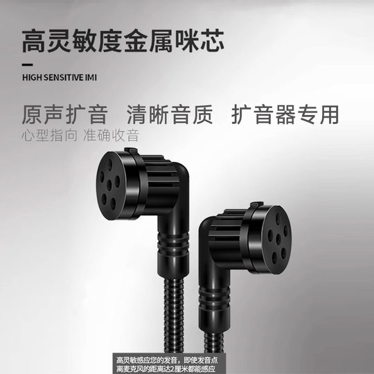 Victory Bee Amplifier Teacher Class Microphone