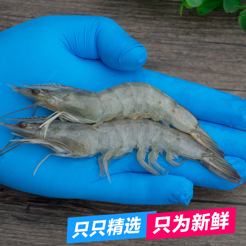 海鲜鲜活大虾野生海虾青虾新鲜基围虾包邮青岛大虾冷冻水产大对虾 - 图1