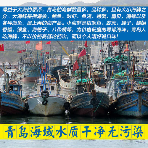 青岛海捕黑头鱼鲜活海鱼包邮海鲜冷冻水产新鲜豆腐鱼猪嘴鱼寨花鱼 - 图3