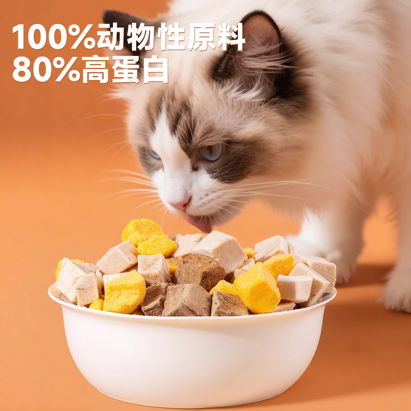 冻干猫零食鸡肉粒宠物鸡胸肉小猫专用蛋黄冻干营养猫咪冻干混合桶,淘宝优惠券,粉丝福利购,淘宝优惠卷