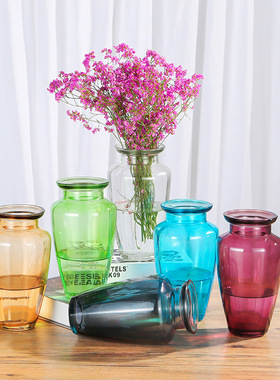 北欧简约ins风透明玻璃花瓶插花鲜花家居客厅装饰家用摆件干花