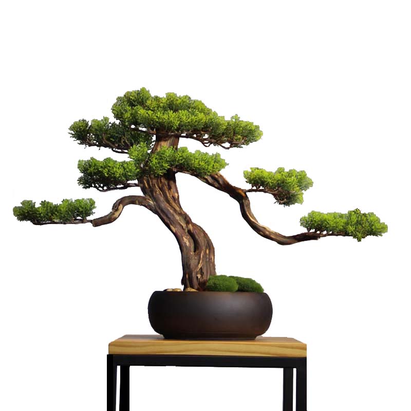新中式仿真迎客松盆景创意摆件客厅玄关茶几酒店实木绿植家居饰品