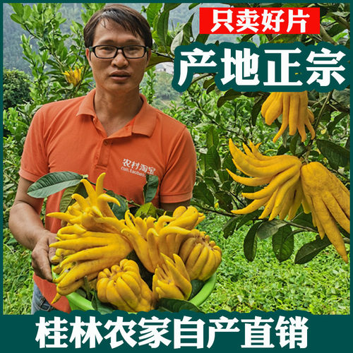 润喉佛手果干佛手干泡茶广西中药材干片正宗香橼茶250克g佛手柑干 - 图1
