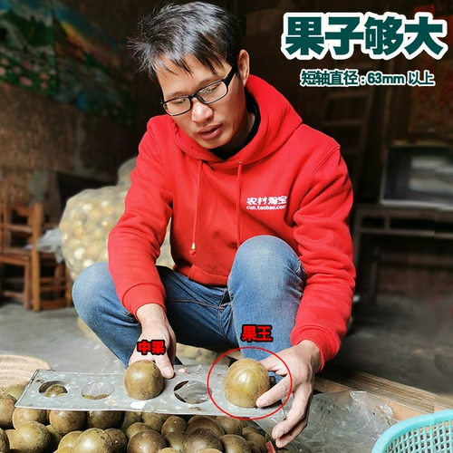 Фруктовый король Luo Han guo на искренний китайский травяной лекарство сухое фруктовое пузырь чай Гуанси Дагуо Гилин Специальный чайный пакет Магазин