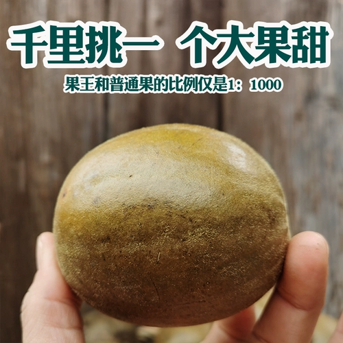 Фруктовый король Luo Han guo на искренний китайский травяной лекарство сухое фруктовое пузырь чай Гуанси Дагуо Гилин Специальный чайный пакет Магазин