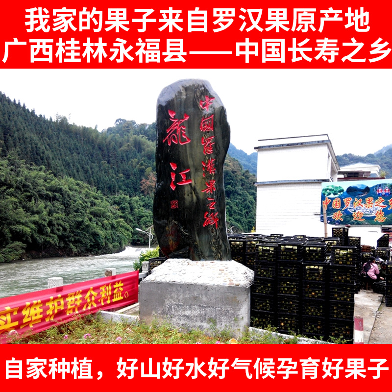 仙乡记正品罗汉果干果广西桂林特产汗散装特级中药永福罗汊果茶泡茶泡水1