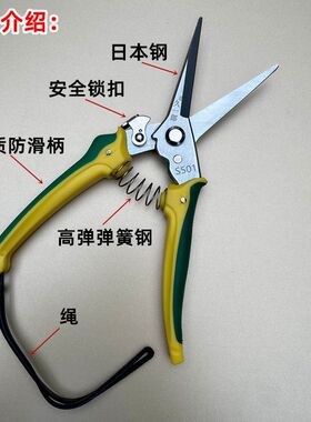 久一郎S503型采果剪火龙果采摘剪刀不锈钢摘果剪家用省力剪盆景剪