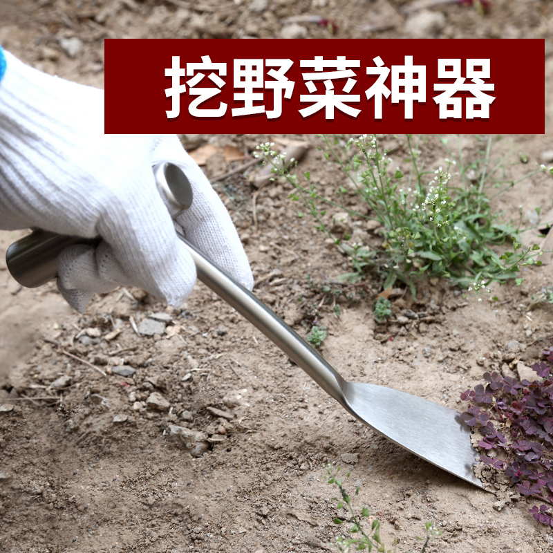 不锈钢蒜铲挖野菜的小铲子园艺农用除草神器挖土种菜专用工具户外