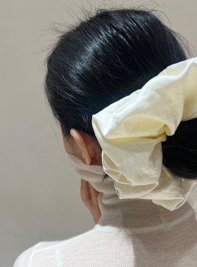 高级感大肠发圈女新款大号头花