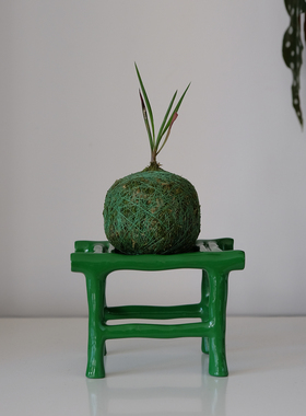 边集EDITOR 糖浆syrup竹凳托盘首饰收纳盘可爱礼物