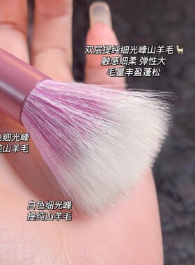 点彩刷天花板！细光锋羊毛腮红刷